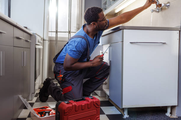 Best Local Plumber Services  in Holmes Beach, FL